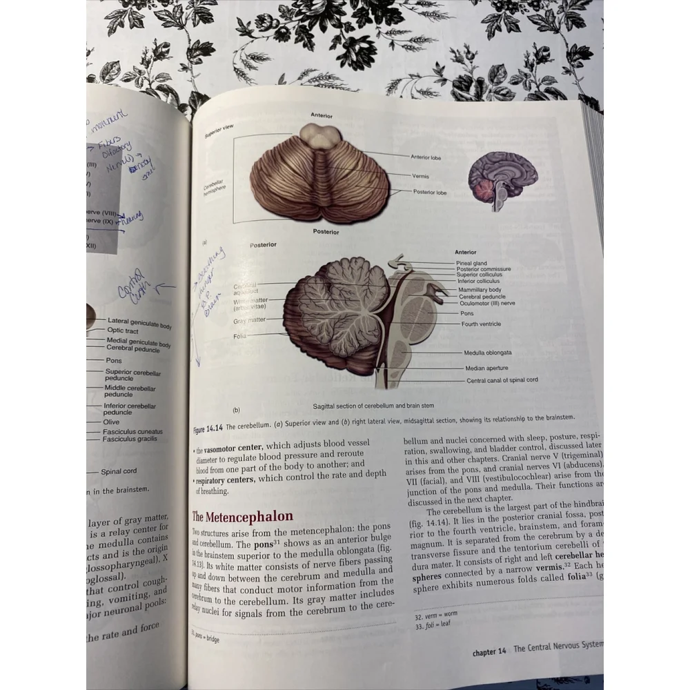 Anatomy Physiology The Unity of Form and Function Saladin 1998 Hardcover Book